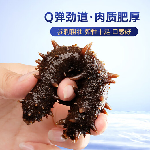 Gongyi Dalian ready-to-eat sea cucumber 1Jin Jin is equal to 0.5kg 9-15 pieces, solid content exceeds 75%, home decoration, bottom-sown sea cucumber, no need to soak