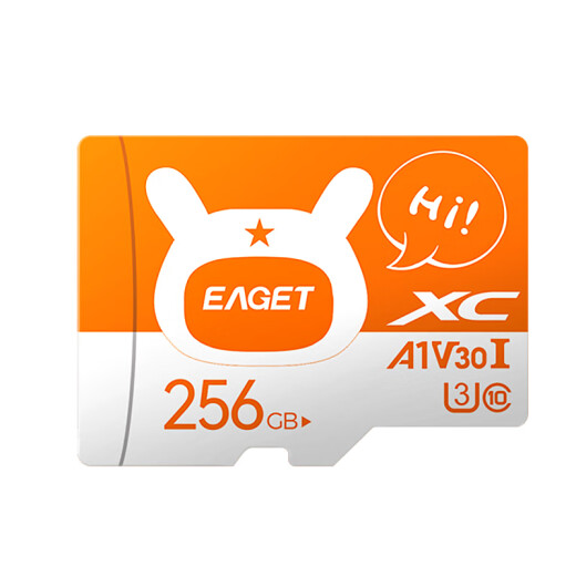 EAGET 256GBTF (MicroSD) memory card A1V10C10 Xiaomi surveillance camera special card/driving recorder memory card upgraded version