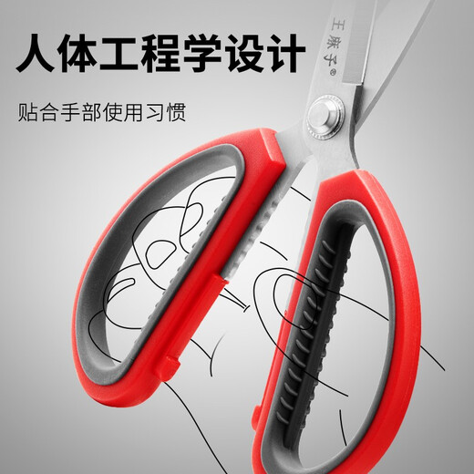 Time-honored Wang Mazi scissors household kitchen stainless steel size pointed hand-cut paper scissors civilian scissors office multi-functional scissors large size 195MM (can clip walnuts)