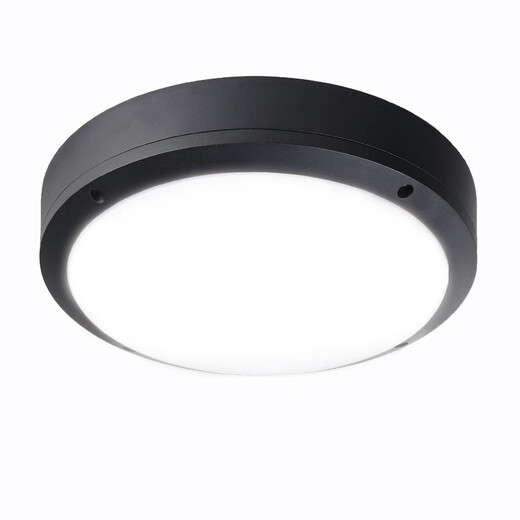 Villa gate light, outdoor ceiling light, self-built house gate ceiling light, door light on the door, outdoor waterproof balcony light, moisture-proof and insect-proof aisle light, circular corridor door light, LED diameter 27.5cm bronze + 30 watt LED chip