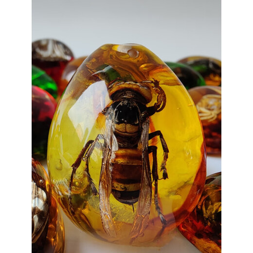 Huilu Insect Amber Pendant Natural Butterfly Specimen Insect Amber Necklace With Insect Animal Pendant Made Fashion Creative Single Side Polished Green Amber Crab With Lanyard