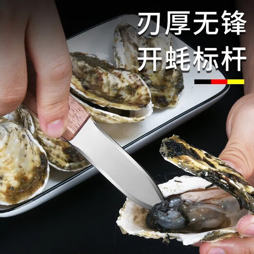 Andena stainless steel oyster knife professional oyster opener oyster opener shrimp line sea oyster scallop shell open oyster artifact walnut wood oyster opener 2 pieces