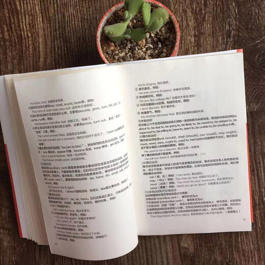 Lernen Sie die englische Grammatik in 28 Tagen. Englische Grammatik. Einführung in das Selbststudium der englischen Sprache