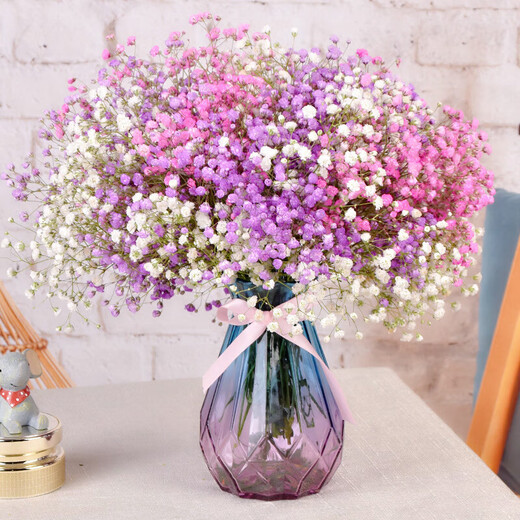 AIMAN Gypsophila Natural Dried Flower Bouquet Ins Internet Celebrity Birthday New House Decorative Ornaments Air-Dried Real Flower Arrangements Home Furnishings White + Purple + Pink Gypsophila Without Vase