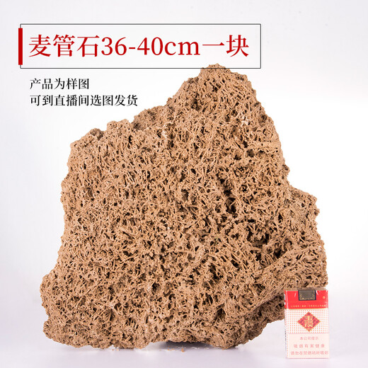 Shiguang Xiaozhan boutique gold straw stone natural water-absorbing stone rockery bonsai stone plant fossil small ornaments straw stone 36-40cm piece