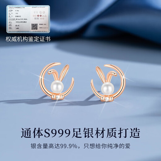 Huaying (HUAYING) light luxury one-week earrings for girls diamond one-week earrings set anniversary birthday gift for girlfriend and wife 7 pairs of diamond earrings * 999 pure silver * double-layer jewelry box