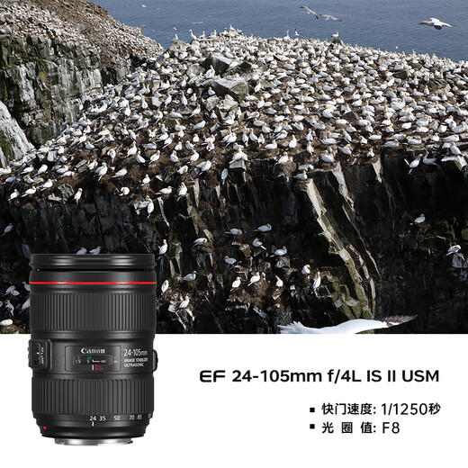 Canon 24-105f4 lens second generation standard zoom lens full-frame SLR disassembly EF 24-105 F4 standard (optional package recommended)