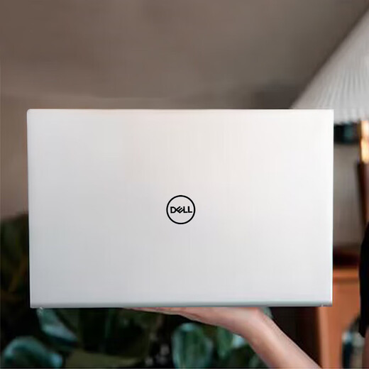 戴尔（DELL）戴尔笔记本电脑商务办公大学生制图办公吃鸡游戏轻薄本 戴尔6 i7 16G 1T 14英寸