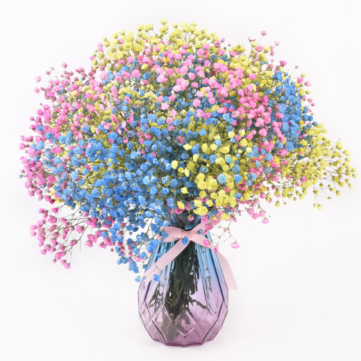 AIMAN Gypsophila Natural Dried Flower Bouquet Ins Internet Celebrity Birthday New House Decorative Ornaments Air-Dried Real Flower Arrangements Home Furnishings Purple + White + Sapphire Blue Gypsophila Without Vase