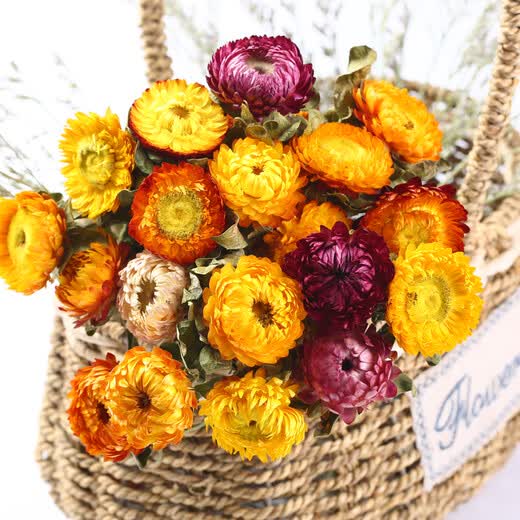Aiman dried flowers, real flowers, Yunnan straw chrysanthemums, small daisies, natural air-dried bouquets, flower arrangements, internet celebrity decorative ornaments, wheat straw chrysanthemums, colorful bouquet (20 flowers), dry branches
