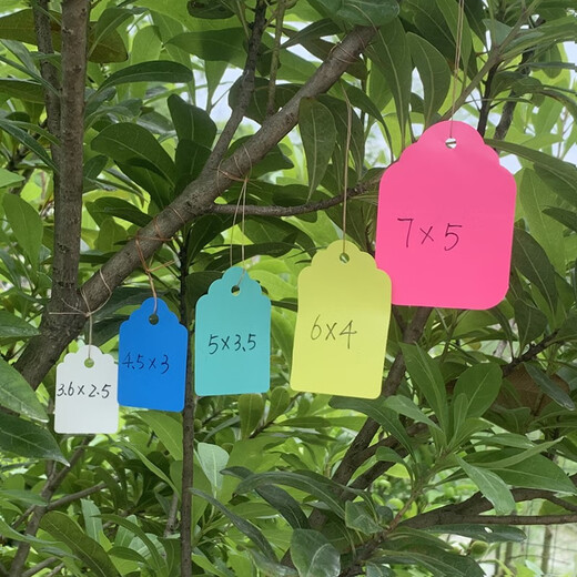 Taipeng plant waterproof tag plastic flower tag gardening tag colorful fruit tree listing seedling tag 7*5cm 200 sheets white