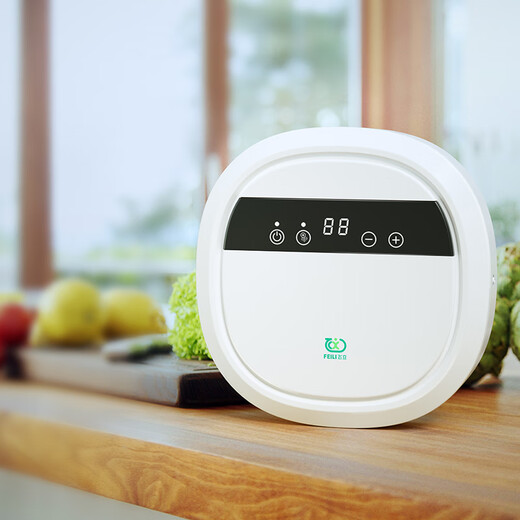Feili ozone hotel indoor disinfection, sterilization, deodorization and odor negative ion air purification household kitchen ozone generation machine FL-C08A (multifunctional disinfection machine)