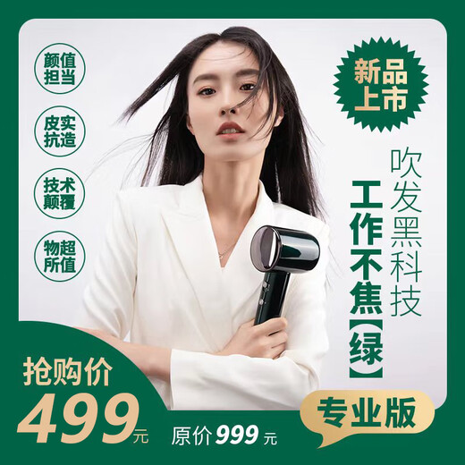 Wind Chaser Hair Dryer Hairstylist, Barber Shop, Hair Salon Special Professional Edition High-Power High-Wind Hair Care High-speed Hair Dryer Non-scorched Green Professional Edition Gift Box-1 Nozzle