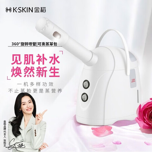 Golden Rice Facial Steamer Hot and Cold Dual Spray Nano Spray Beauty Instrument Hydrating Cold Spray Humidifying Facial Steamer Facial Steamer KD169A White Hot and Cold