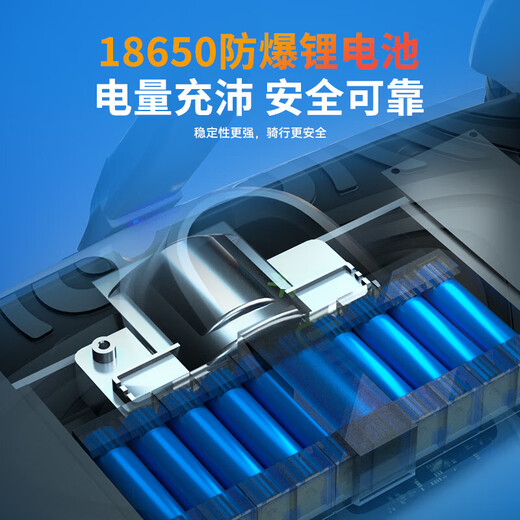 领奥电动智能儿童礼物平衡车自营6-12岁体感车10岁到15岁成年代步电动车 10吋炫光智能高配APP版