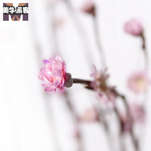 Aesthetic hacker, dried plum blossoms, real flowers in vase, fake plum blossoms, dried flower branches, decorative small dead branches, dried flowers, Zen style, pink, branches about 60 cm long