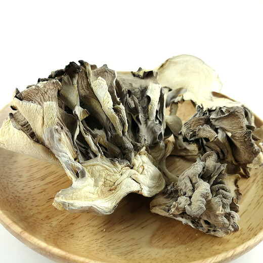 Baishanzu Maitake Maitake 125g Qingyuan Specialty Dried Edible Fungi