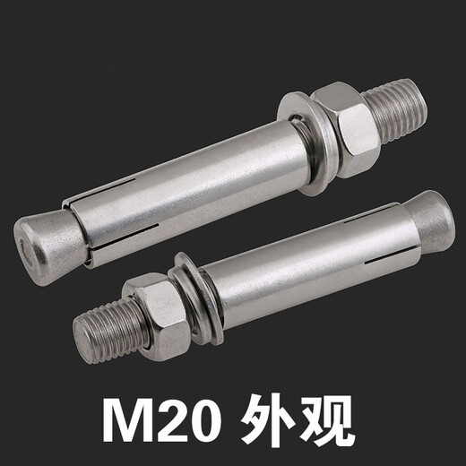 Bairuite (bairuite) 304 stainless steel expansion screw pull explosion screw 316 lengthened expansion bolt lifting explosion expansion pipe screw M8*100 5 capsules 304