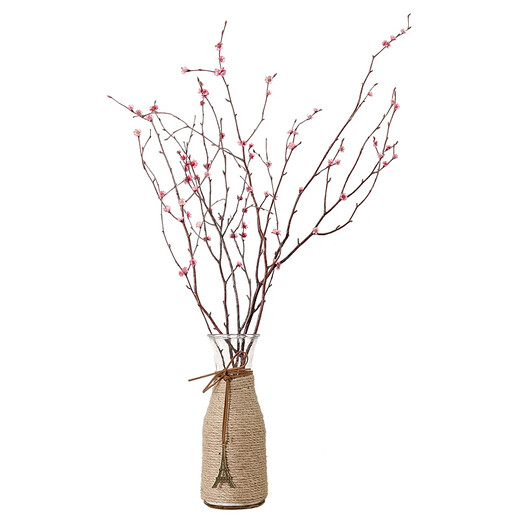 Aesthetic hacker, dried plum blossoms, real flowers in vase, fake plum blossoms, dried flower branches, decorative small dead branches, dried flowers, Zen style, pink, branches about 60 cm long