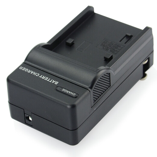 蒂森特（dste）适用于索尼 PJ350E AXP55 AX60/700/30 CX675 PXW-Z60 PJ540 XR550 PXW-Z90 VG10 NP-FV50充电器