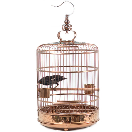 Flash Rabbit with flowers on top and bottom, luxury version of stainless steel bird cage, classical and elegant myna, myna, round cage, medium-sized parrot bathing cage, bronze with flowers on top and bottom 36