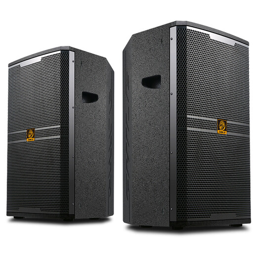 SHILE BM-15 15-inch professional stage performance audio KTV private room large conference room outdoor event wedding speaker BM-15 speaker