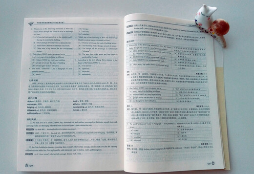 New Oriental Postgraduate Aufnahmeprüfung Englisch Leseverständnis Intensives Lesen 100 Artikel (High Score Edition)