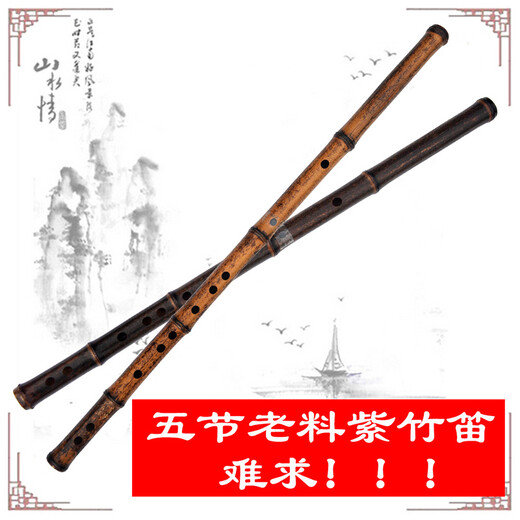 Flauta de bambú púrpura de cinco secciones profesional del Sr. Guanzi que toca la flauta transversal examen de grado para principiantes adultos instrumento de viento antiguo tecla G