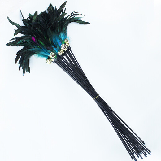 Cat Toy Cat Playing Rod Wire Cat Playing Rod Bell Feather Cat Playing Rod Pet Cat Toy Kitten Kitten Interactive Supplies Fishing Rod Cat Playing Stick