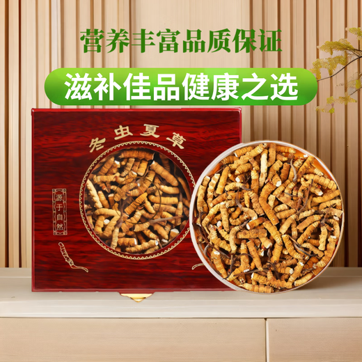 Wancao kangren cordyceps sinensis hierba rota área tibetana cordyceps césped roto productos nutricionales de mediana edad y ancianos