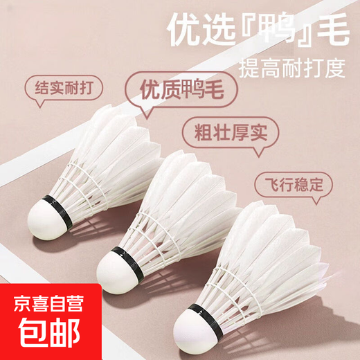 羽毛球正品天然鸭毛12只装耐打鹅毛室内室外比赛防风训练用球6只 【日常训练】无标-升级台纤 1筒 12只装