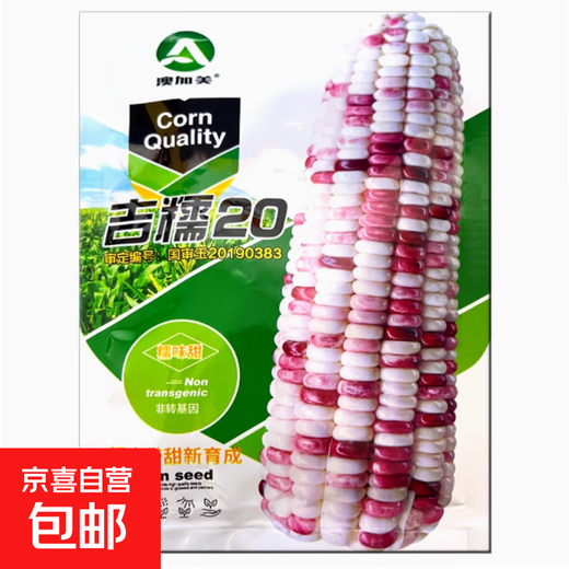 White, sweet and waxy corn seeds, high-yielding, sown in all seasons, white and waxy corn, non-transferable, national-approved, farmers’ super-sweet and waxy corn seeds, Jinuo 20 corn seeds, 100g, 1 bag