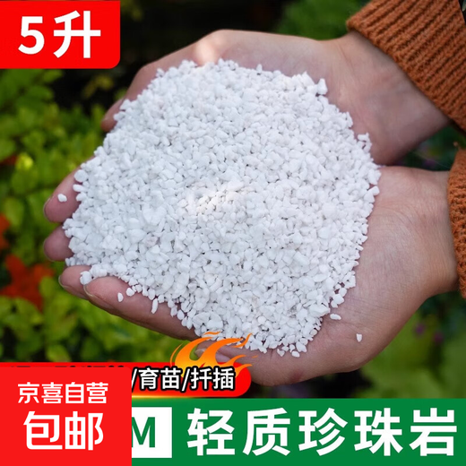 Perlita sin polvo, partículas grandes, suelo nutritivo universal para cultivo de flores, orquídeas suculentas, plantación de plántulas, aislamiento de expansión, material vegetal duro, perlita liviana de 2 a 4 mm, 5 litros
