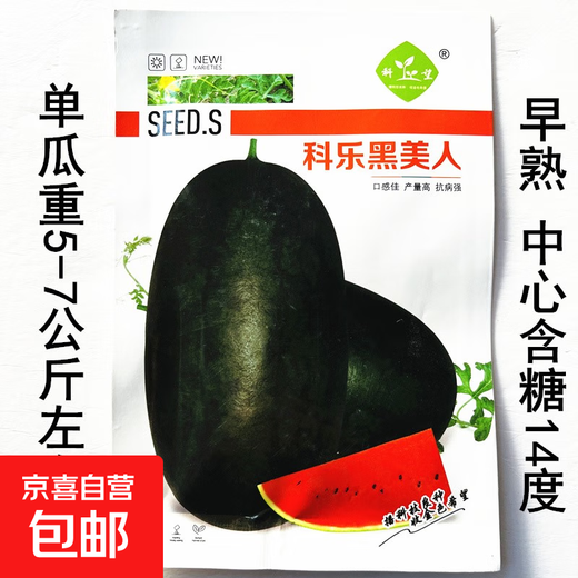 Base-specific seeds, watermelon seeds, watermelon balcony potted plants, farmhouse garden melon seeds, various kinds, Kole Black Beauty original, about 200 capsules, 1 bag