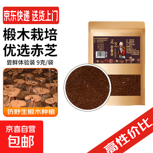 Poudre de spores de Ganoderma lucidum, poudre de spores de ganoderma rose, 9 g/sac (paquet d'essai précoce)