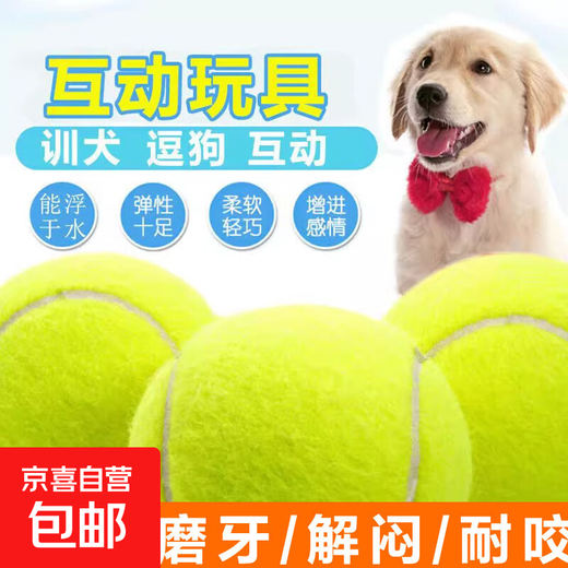 Dog toy ball, self-entertainment and boredom relief artifact, pet border animal, Golden Retriever, Corgi, bite-resistant ball, training, molar tennis rubber, green 2 pcs, fully applicable