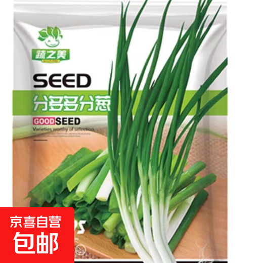 Four-season chive seeds, green onion seeds, balcony indoor potted onion seeds, cold-resistant vegetable seeds, home vegetable seeds, four-season chive seeds, about 200 pieces, brand original color pack