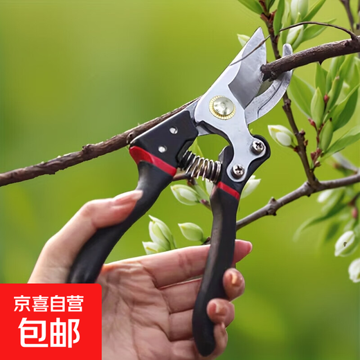 Monthly sales exceed 10,000. Stainless steel pruning shears, steel tree shears, branch pruners, flower branch scissors, dedicated for home gardening. Seiko boutique - 10 times more durable + Black Warrior style.
