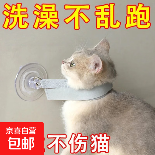 Pet bath holder, pet grooming table sling, suction cup lanyard, wire rope, cat bath goodies fixing rope, pink - 1 piece