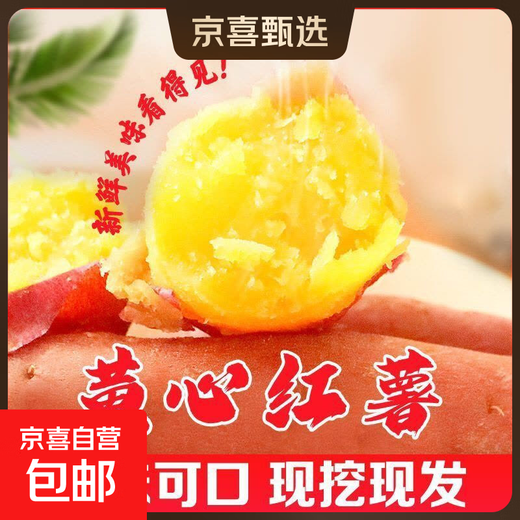 Freshly dug sandy sweet potato, fresh farm sweet potato, roasted sweet potato, soft and waxy, wholesale yellow heart, sandy sweet potato 2Jin Jin equal to 0.5kg, small and medium-sized fruits, box included