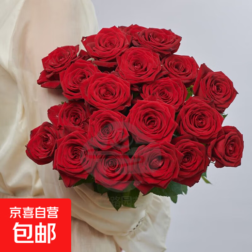 Rose Flower Shop's Same Style Gansu Rose Northwest Flower Soilless Cultivation Easy to Flowering Period Long Chinese Valentine's Day Gift Naomi Single-headed Rose 20 Branches