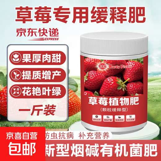 Strawberry special fertilizer slow-release fertilizer organic fertilizer balcony potted strawberry fertilizer to sweeten, improve quality, increase production and promote growth Special strawberry fertilizer 1Jin Jin equals 0.5 kg *1 can