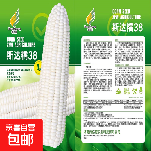 【国审】玉米种子甜糯玉米种子杂交玉米白玉米国审玉米种子 国审白玉米种子 5包约251粒