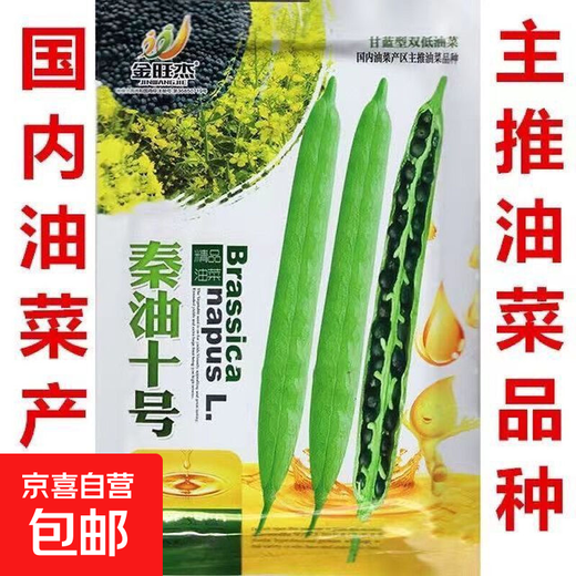Qinyou No. 10 rapeseed black oil, black seed, short stem, high oil yield, genuine product, high cold resistance and lodging resistance Qinyou No. 10 seeds, 1 pack about 80 grams