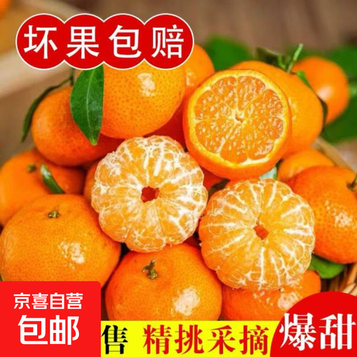 Sweet Guangxi Golden Autumn Sugar Orange Seasonal Fresh Fruit Sugar Orange Thin-Skinned Juicy Seasonal Fruit with Box 10Jin Jin equals 0.5kg