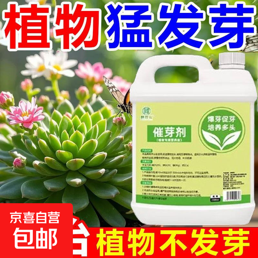 Plant bursting hormone, budding hormone, succulent leaf inserts, bud-promoting germination, household flower growing fertilizer, old pile plant clear leaf fertilizer, old pile dry yellow leaves first aid, new buds grow, 1 barrel 2500ml