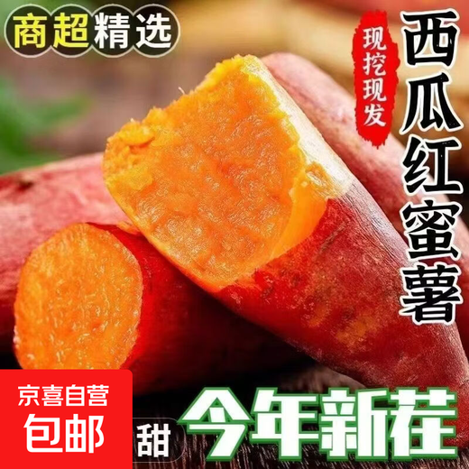 Freshly dug watermelon, red sweet potato, sweet and soft glutinous red heart sweet potato, potato without silk, farm-grown sweet potato, high-quality watermelon red, 2Jin Jin equals 0.5kg, boxed, medium-large fruit (single fruit 150g-500g)