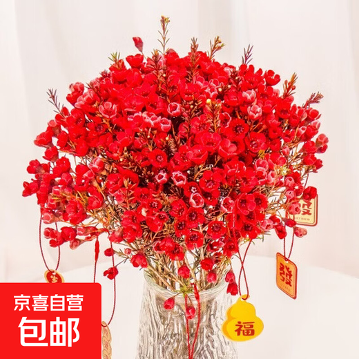 Australian Wintersweet, New Year's Eve Flowers, Fresh Cut Flowers, Household Water-raised Flower Arrangements, Yunnan Straight Hair Flower Bouquet, Long-lasting Real Flowers, Red Wintersweet 1 Bundle (About 200g), Color Absorption