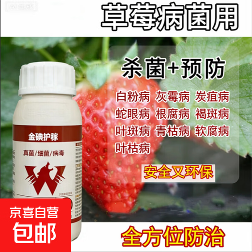 Complete treatment of strawberry diseases, special strawberry bactericidal medicine, red center column, strawberry white powder, root rot, gray mold, leaf spot, soft rot anthrax, gold iodine protection 500 ml (mixed with 800 Jin of water, Jin is equal to 0.5 kg)