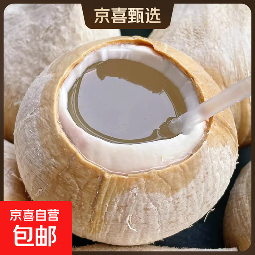 Imported from Thailand, Milk Coconut King Seasonal Dannen Saduo Coconut Fresh Fruit Old Coconut Chicken Soup for Pregnant Women - Jiayao Early adopter 1 pack extra large fruit single fruit 501g-600g (black coconut shell of old tree is normal)